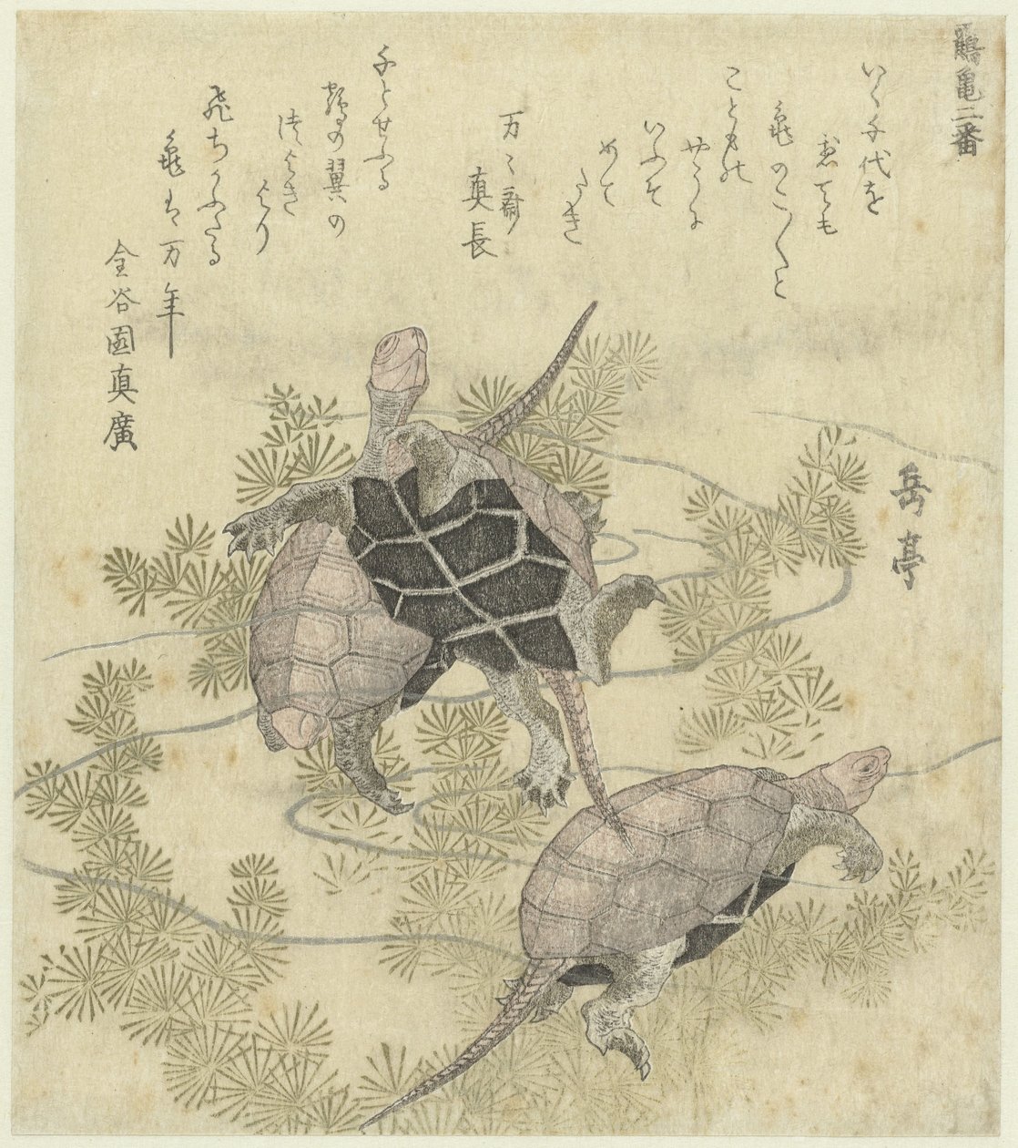 Drei Schildkröten zwischen Wasserpflanzen von Yashima Gakutei
