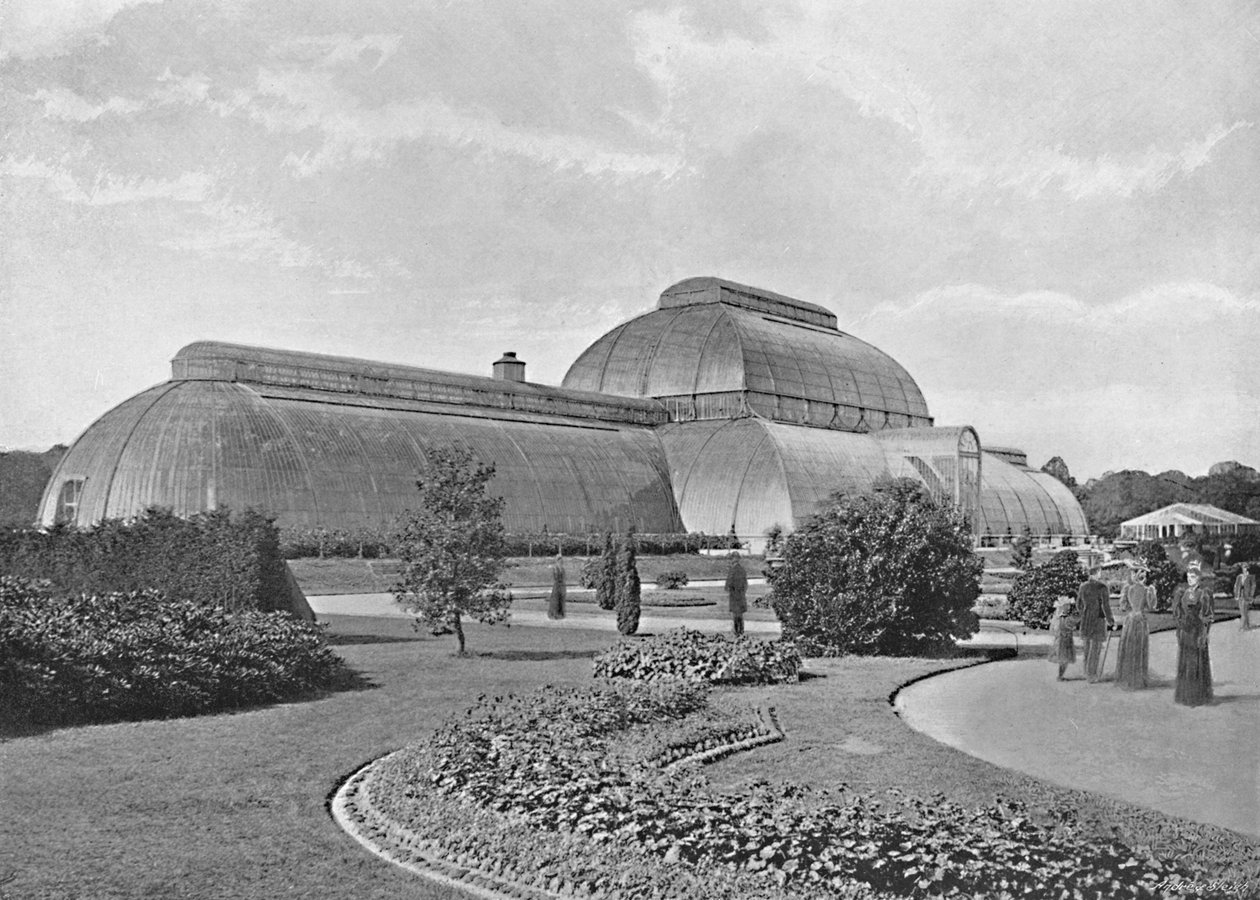 Das Große Palmenhaus, Kew Gardens, ca. 1896 von York and Son