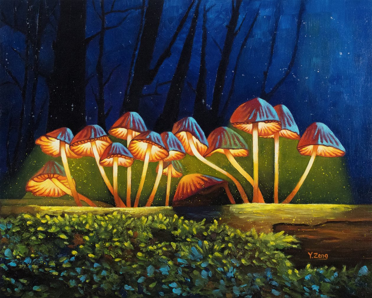 Nachtlicht leuchtende Pilze, 2023 von Yue Zeng