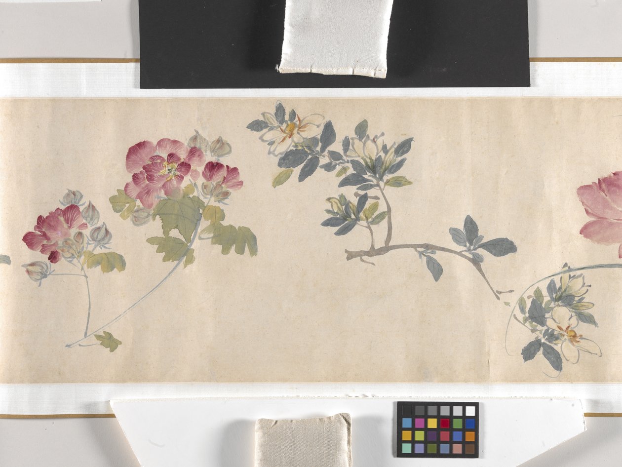 Bunte Blumen von Zhimian Zhou
