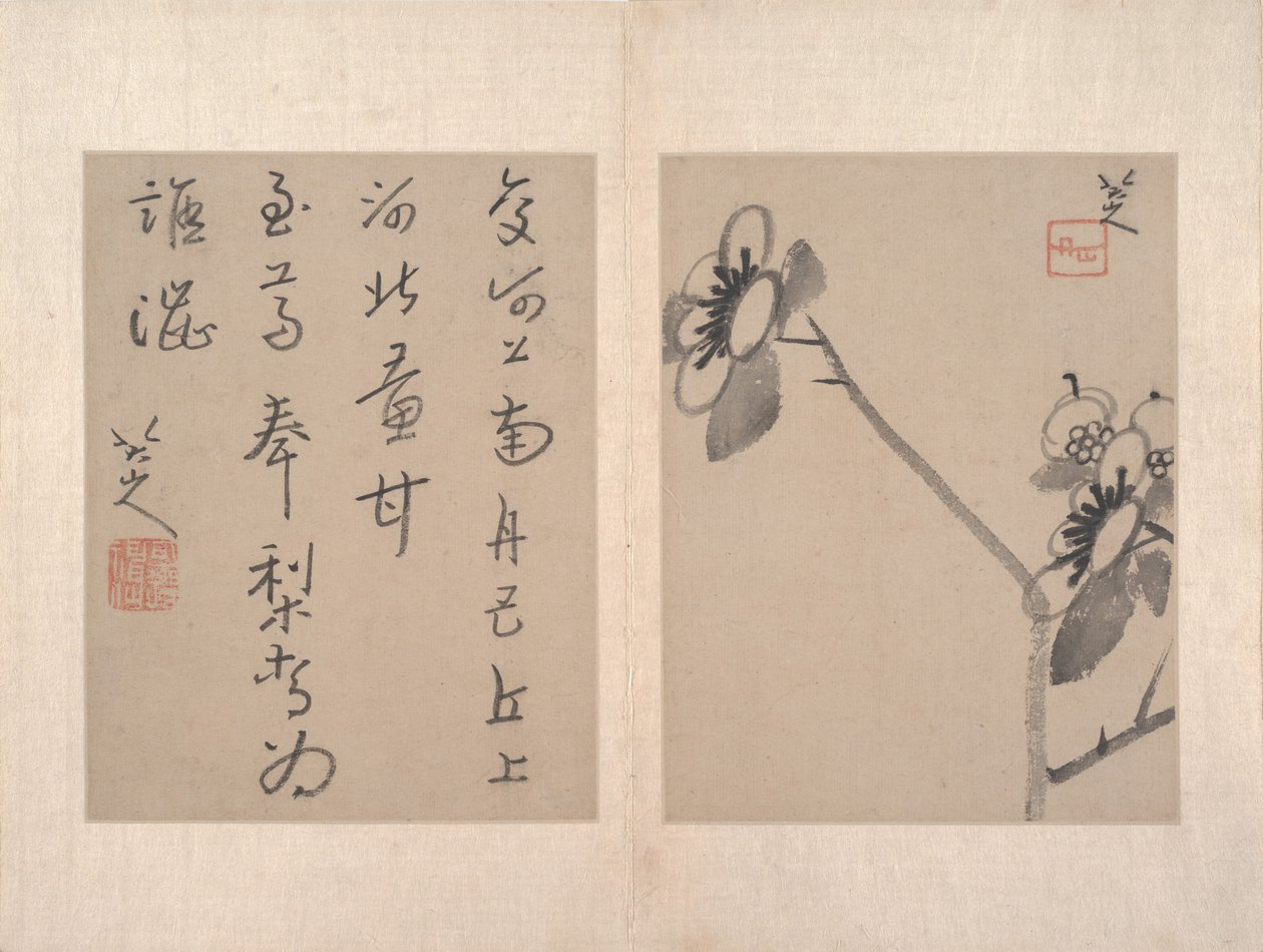 Album mit verschiedenen Gemälden (Album mit zwölf Gemälden) von Zhu da (attr.to) Bada Shanren