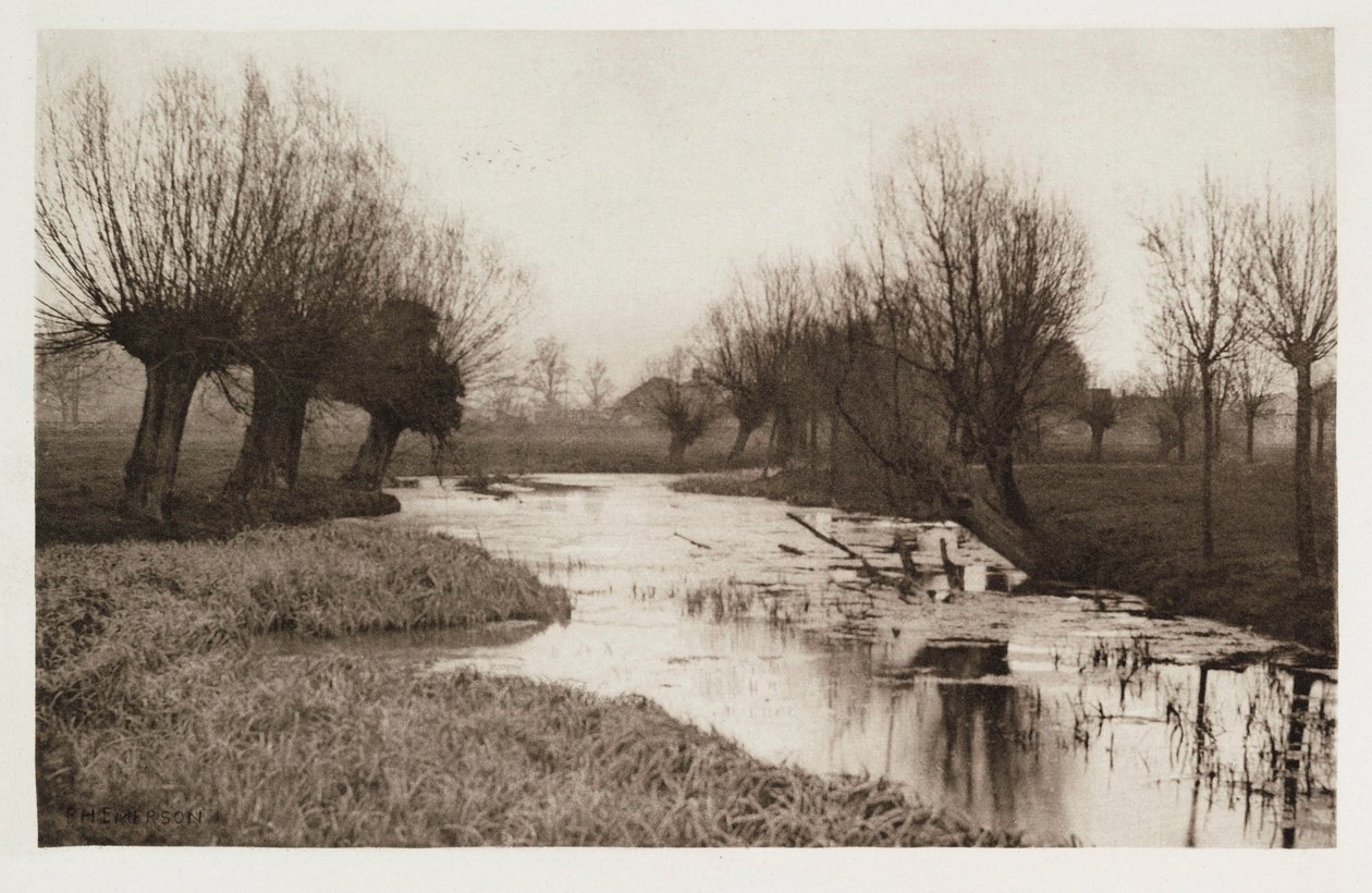 Ein Seitenarm der Lea (eaux stagnantes de la rivière Lea) von Frederick (attr. to) Barnard