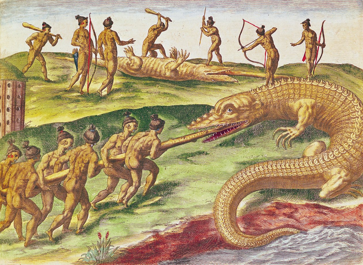 Krokodiljagd, aus 
