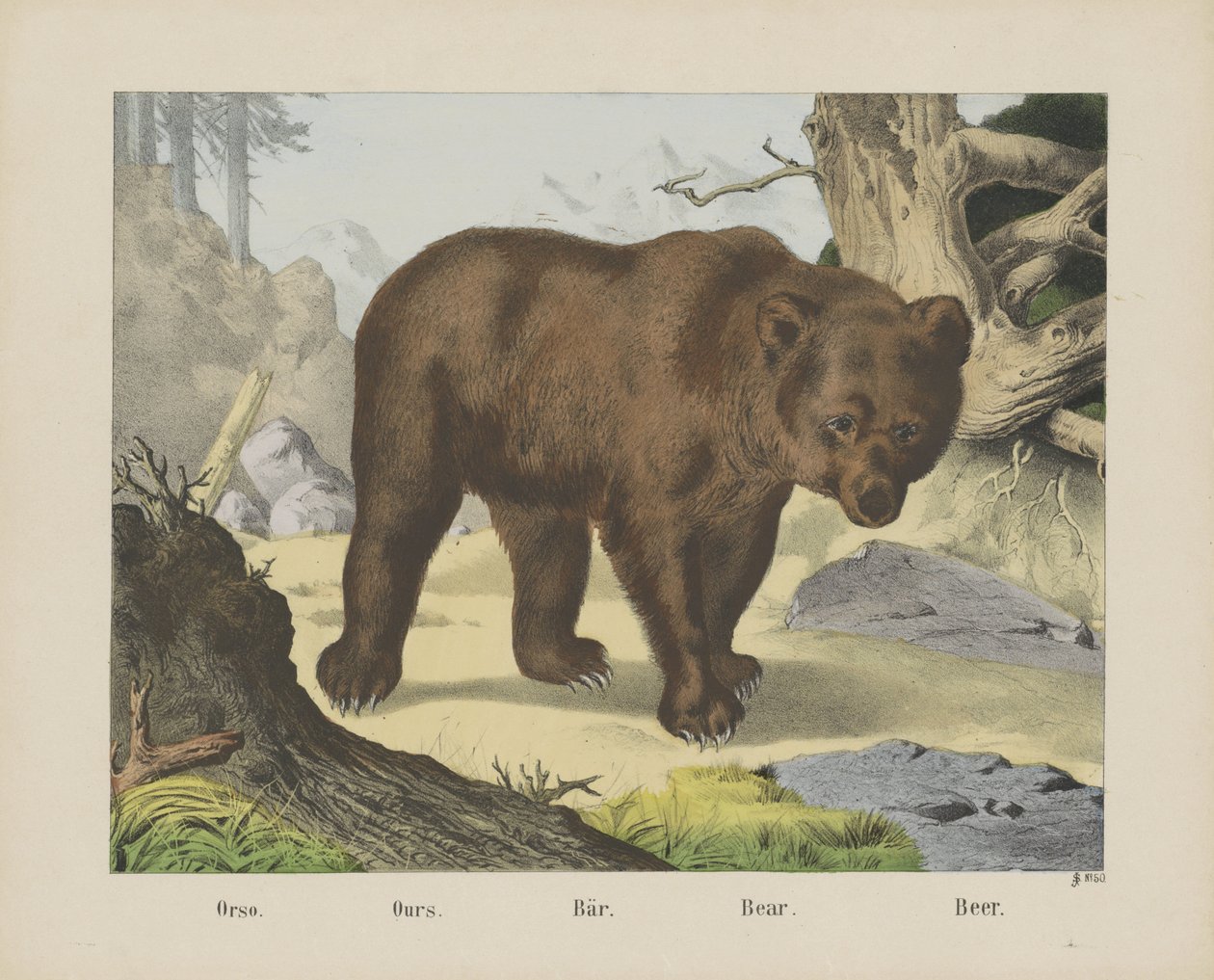 Orso von firma Joseph Scholz