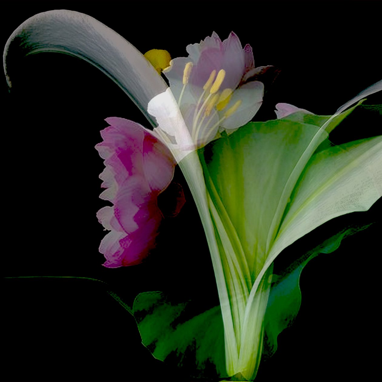 Blumencollage, 2018 von linda arthurs