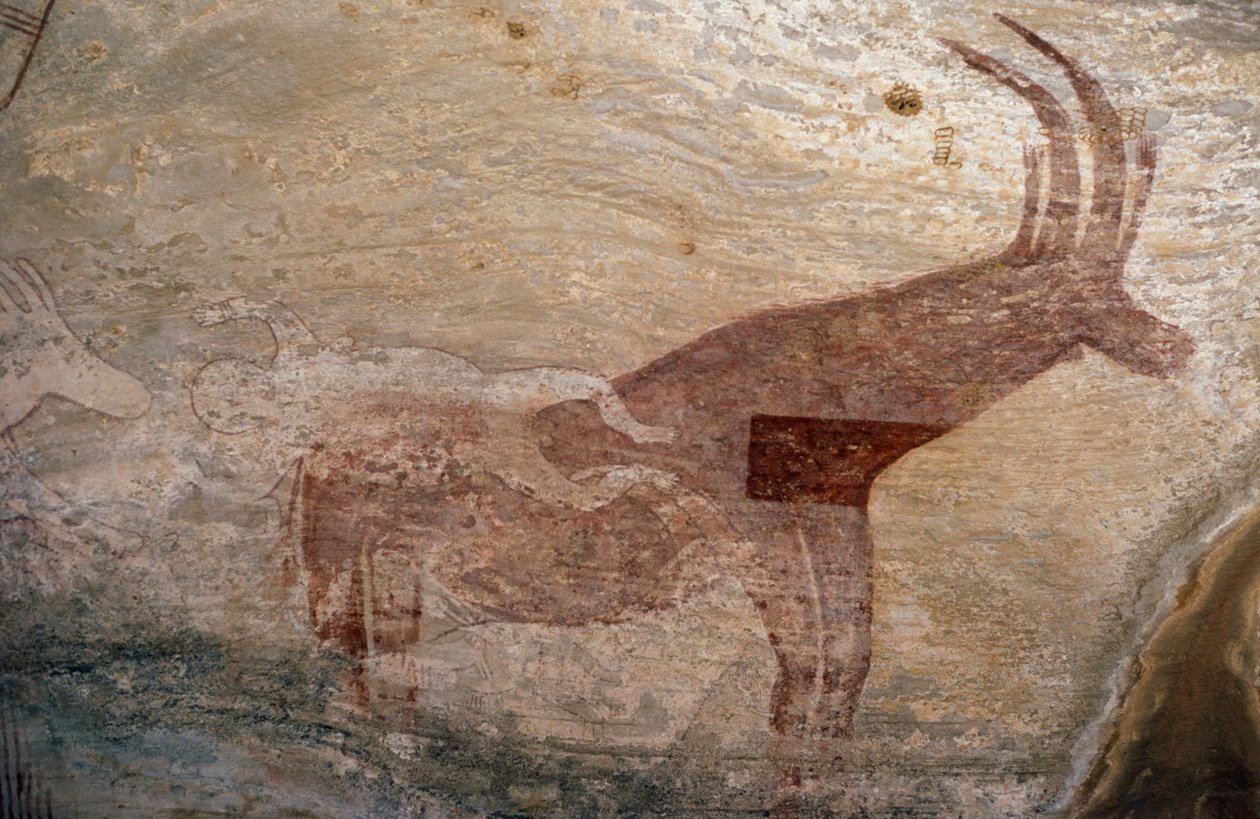 Huftier, Höhlenmalerei, Sephar, Tassili n