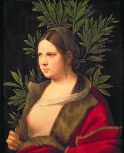 Porträt einer jungen Frau (Laura)