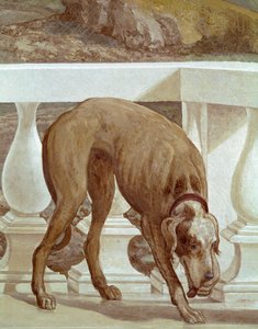 Hund auf einem Balkon (Fresko Detail)