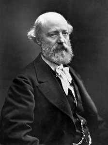 Eugène Viollet-Le-Duc (1814-1879) französischer Architekt, der viele Denkmäler restaurierte (Notre Dame von Paris, Schloss Pierrefonds), Foto von Nadar (1820-1910) im Jahr 1878