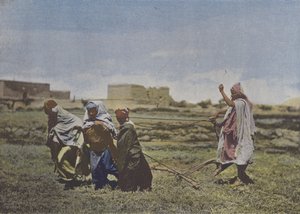 Le Labourage en Kabylie