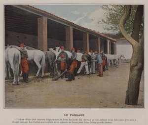 Pflege von (after) French Photographer