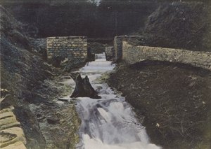 Quellen des Alagnon bei Liorant (Farbfoto) von (after) French Photographer