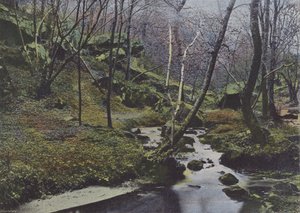Vaux de Cernay, Les Cascades von (after) French Photographer