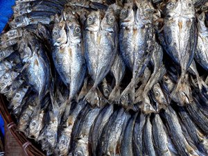Trockenfische
