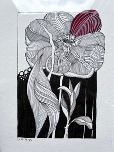 Blüte von Urs Grünenfelder