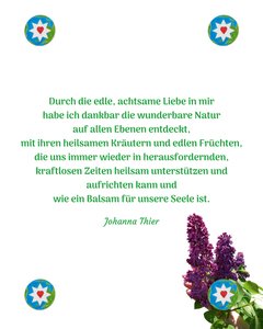  von Johanna Thier