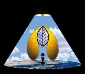 Im Anfang war das Wort (aus der Serie Lichtung)