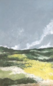 Feld mit gelben Blumen von M. Vet