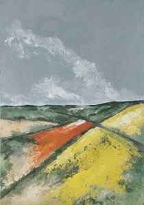 Hügel und Blumenfelder von M. Vet