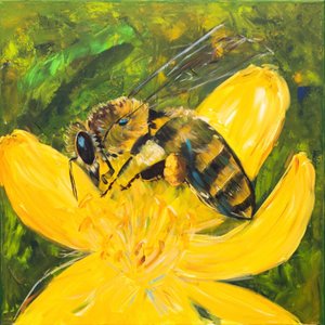 Im Paradies von H.Opitz