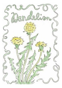 Löwenzahn von june art