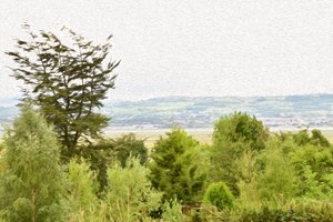 Natur Landschaft von Albert Mansour