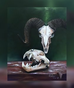 Memento Mori (Studie von Tierschädeln)