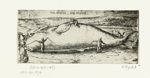 Druck des gestrandeten Wals bei Antwerpen, 2. Juli 1577