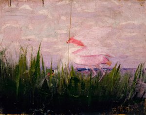 Rosalöffler, Studie für das Buch Tarnfarbe im Tierreich von Abbott Handerson Thayer