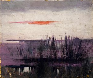 Der Himmel simuliert durch weiße Flamingos, Studie für Buch, Concealing Coloration in the Animal Kingdom von Abbott Handerson Thayer