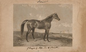 Aliwal, das Eigentum von Sir Harry Smith, Bart (Lithographie) von Abraham (after) Cooper