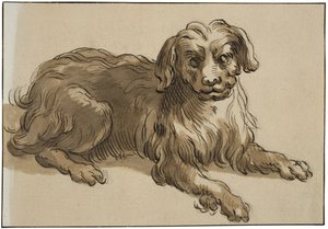 Langhaariger Hund von Abraham Bloemaert