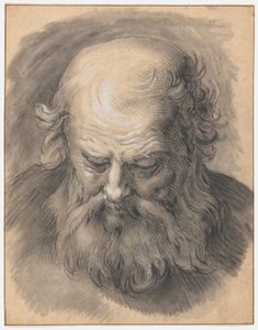 Studie des Kopfes eines bärtigen Mannes von Abraham Bloemaert