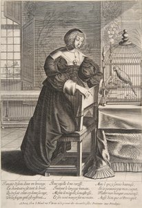 Der Papagei, 1620-76 von Abraham Bosse