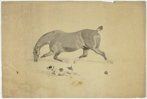 Rennendes Pferd und Hund von Abraham Cooper