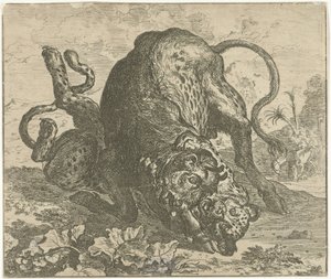 Leopard und Stier von Abraham Danielsz. Hondius
