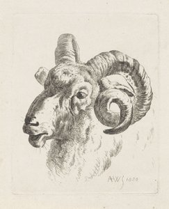 Widderkopf nach links von Abraham Hendrik Winter