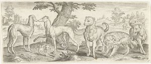 Hunde