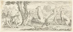 Hunde von Abraham de Bruyn (possibly)