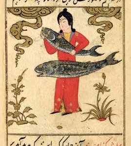 Sternbilder des Tierkreises: Fische, aus Talim dar marifat i taqvuim, 1498 (903 Hijra)
