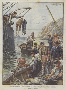 Taucher bergen die Leichen aus dem vor Marseille gesunkenen Dampfer Liban