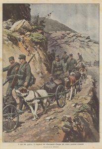 Die Hunde im Krieg, der Transport von Wasser zu unseren vorgeschobenen Stellungen