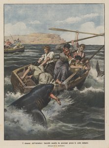 Die Dramen der Adria, Mädchen von Haien an der dalmatinischen Küste angegriffen
