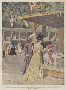 Die Nationale Ausstellung für die Zucht von Hunden, Katzen und Kleintieren, eröffnet am 5. dieses Monats