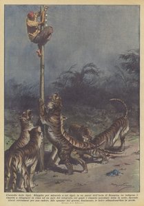 Die Belagerung der Tiger