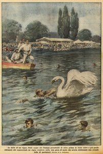 Die Wut eines Schwans von Achille Beltrame