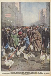 Die amerikanischen Extravaganzen, ein Gänse-Derby auf der Madison Avenue in New York zur Eröffnung