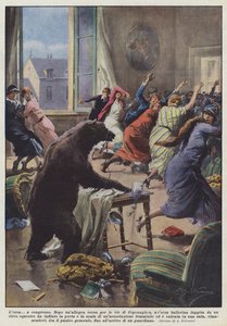 Der Bär auf dem Kongress
