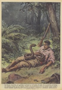 Schreckliches Abenteuer