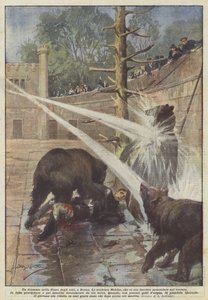 Ein Drama in der Bärengrube in Bern von Achille Beltrame